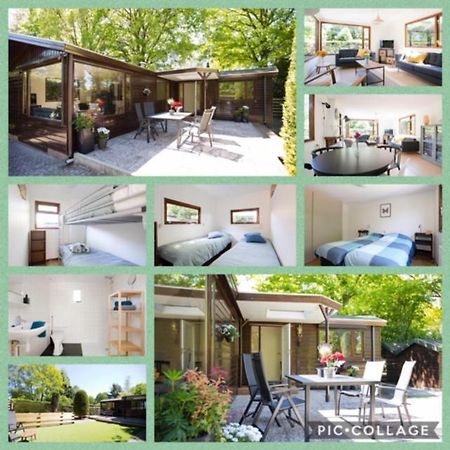 Relaxed Verblijf In Chalet Op De Veluwe Villa Putten Dış mekan fotoğraf